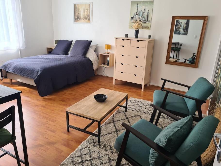 Studio Avec Terrasse Et Place De Parking Toulouse Bagian luar foto