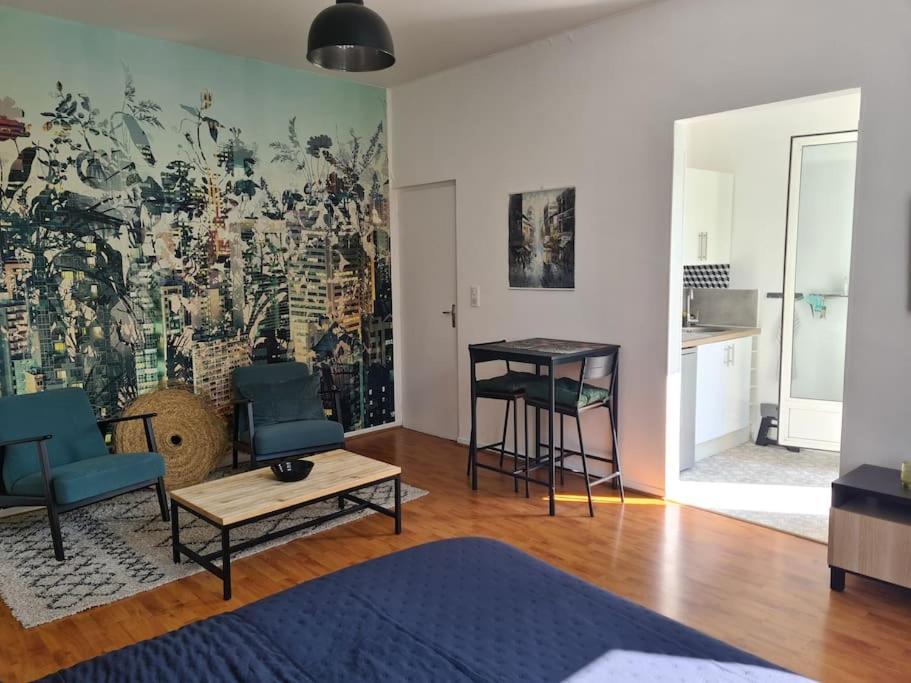 Studio Avec Terrasse Et Place De Parking Toulouse Bagian luar foto